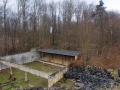 IMG-20250111-WA0001.jpg